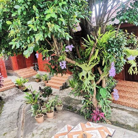 Kongkeo Guesthouse Muang Phônsavan المظهر الخارجي الصورة